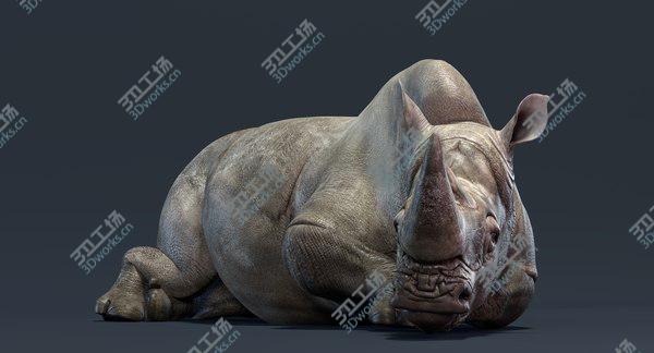 images/goods_img/20210312/Rhino Family (Rigged) model/4.jpg
